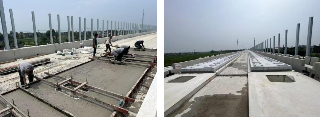 Site construction and mold removal