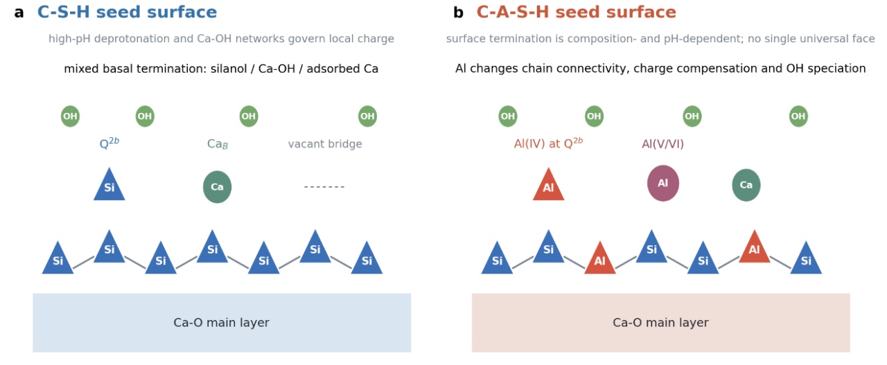 from-csh-to-cash-do-nano-seeding-accelerators03.jpg